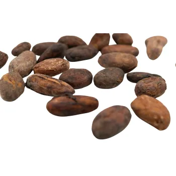 L'or noir d'Amazonie - fèves de cacao Réserve Arriba