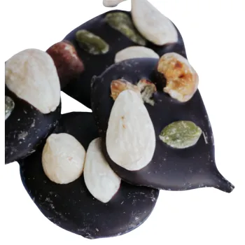 Mendiants au chocolat noir 72% sans sucre